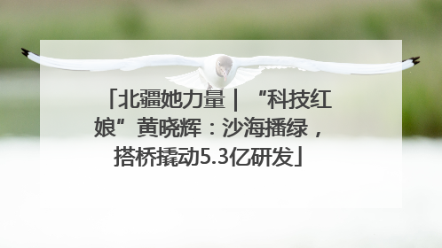 北疆她力量｜“科技红娘”黄晓辉：沙海播绿，搭桥撬动5.3亿研发