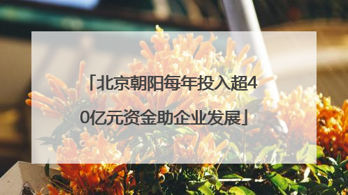 北京朝阳每年投入超40亿元资金助企业发展