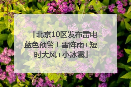 北京10区发布雷电蓝色预警！雷阵雨+短时大风+小冰雹