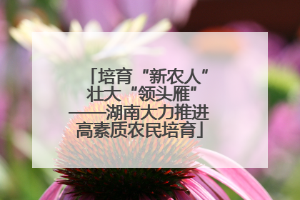 培育“新农人” 壮大“领头雁”——湖南大力推进高素质农民培育
