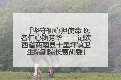 坚守初心担使命 医者仁心铸芳华——记陕西省商南县十里坪镇卫生院副院长贾胡委