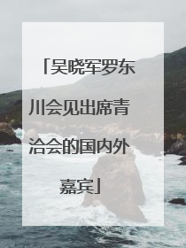 吴晓军罗东川会见出席青洽会的国内外嘉宾
