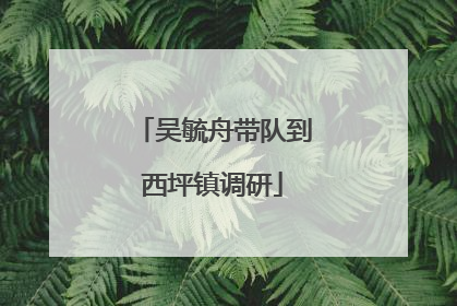 吴毓舟带队到西坪镇调研