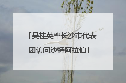 吴桂英率长沙市代表团访问沙特阿拉伯