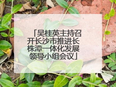 吴桂英主持召开长沙市推进长株潭一体化发展领导小组会议
