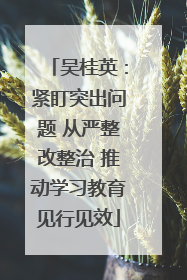 吴桂英：紧盯突出问题 从严整改整治 推动学习教育见行见效