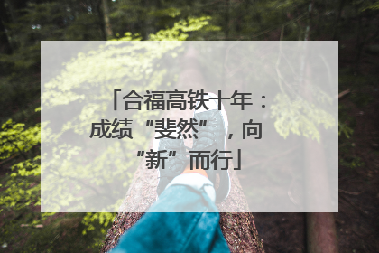 合福高铁十年：成绩“斐然”，向“新”而行
