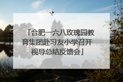 合肥一六八玫瑰园教育集团赴习友小学召开视导总结反馈会