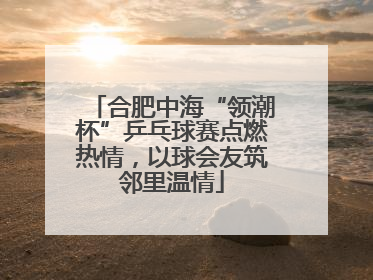 合肥中海“领潮杯”乒乓球赛点燃热情，以球会友筑邻里温情