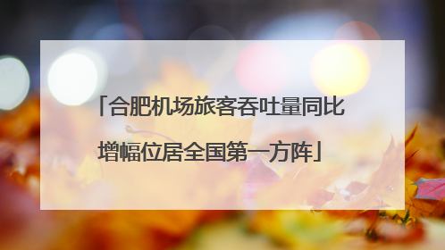 合肥机场旅客吞吐量同比增幅位居全国第一方阵