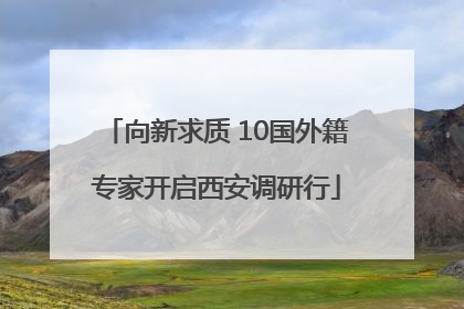 向新求质 10国外籍专家开启西安调研行
