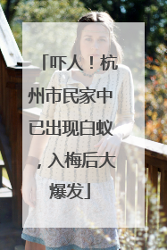 吓人！杭州市民家中已出现白蚁，入梅后大爆发