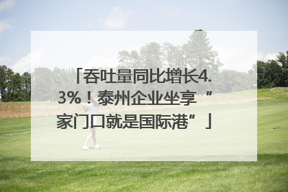 吞吐量同比增长4.3%！泰州企业坐享“家门口就是国际港”