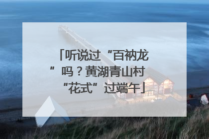 听说过“百衲龙”吗？黄湖青山村“花式”过端午