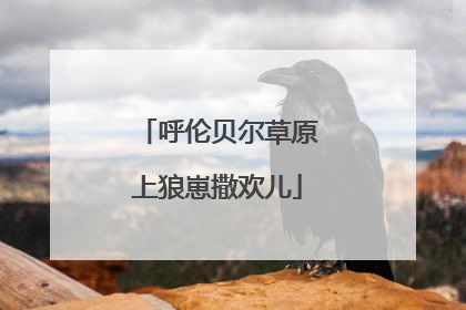 呼伦贝尔草原上狼崽撒欢儿