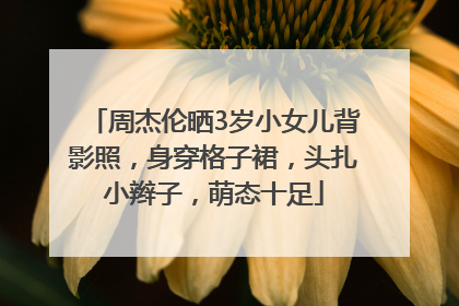周杰伦晒3岁小女儿背影照，身穿格子裙，头扎小辫子，萌态十足