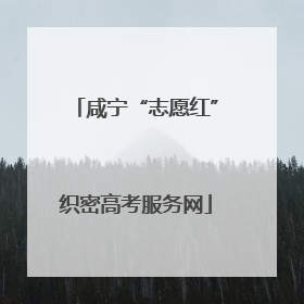 咸宁“志愿红”织密高考服务网