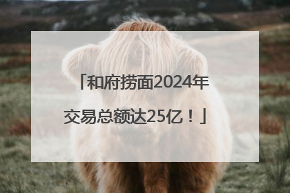 和府捞面2024年交易总额达25亿！