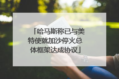 哈马斯称已与美特使就加沙停火总体框架达成协议