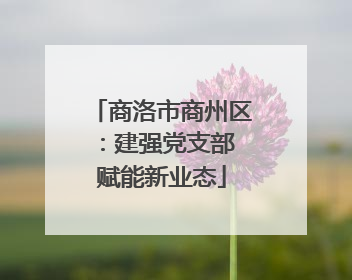 商洛市商州区：建强党支部 赋能新业态