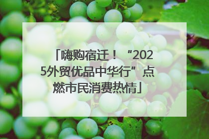 嗨购宿迁！“2025外贸优品中华行”点燃市民消费热情