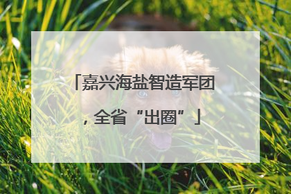 嘉兴海盐智造军团，全省“出圈”