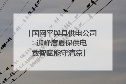 国网平舆县供电公司：迎峰度夏保供电  数智赋能守清凉