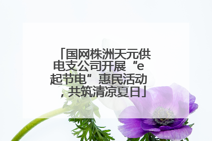 国网株洲天元供电支公司开展“e起节电”惠民活动，共筑清凉夏日