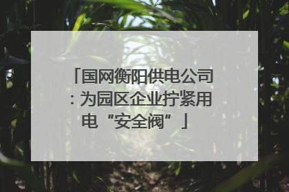 国网衡阳供电公司：为园区企业拧紧用电“安全阀”