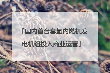 国内首台套氢内燃机发电机组投入商业运营