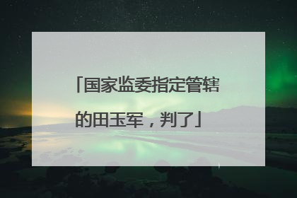 国家监委指定管辖的田玉军，判了