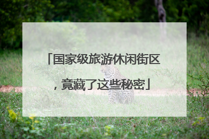国家级旅游休闲街区，竟藏了这些秘密