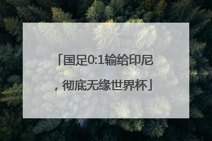 国足0:1输给印尼，彻底无缘世界杯