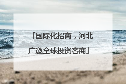 国际化招商，河北广邀全球投资客商