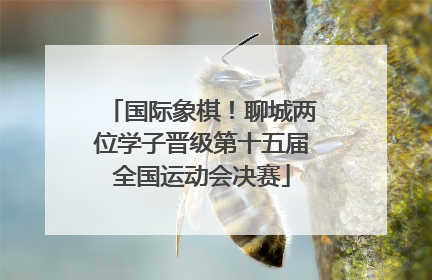 国际象棋！聊城两位学子晋级第十五届全国运动会决赛