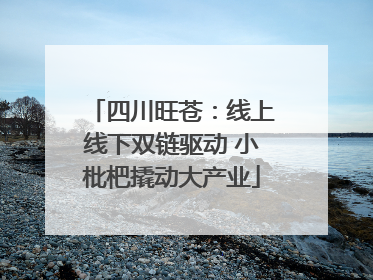 四川旺苍：线上线下双链驱动 小枇杷撬动大产业