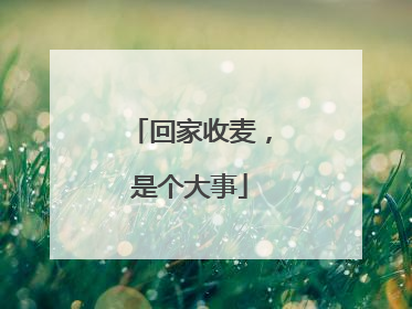回家收麦，是个大事