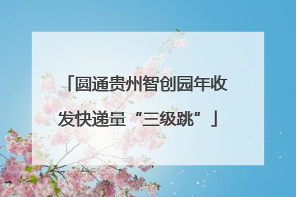 圆通贵州智创园年收发快递量“三级跳”