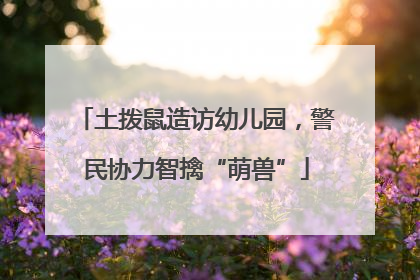 土拨鼠造访幼儿园，警民协力智擒“萌兽”