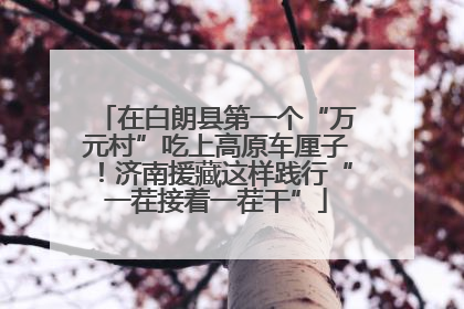在白朗县第一个“万元村”吃上高原车厘子！济南援藏这样践行“一茬接着一茬干”