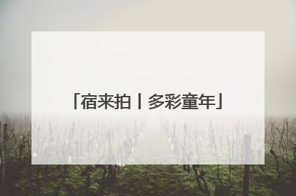 宿来拍丨多彩童年