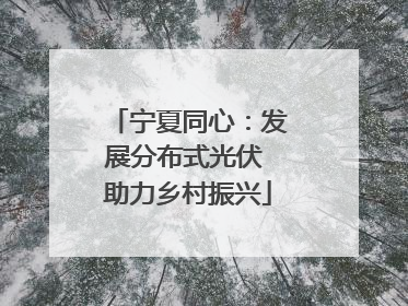 宁夏同心：发展分布式光伏 助力乡村振兴