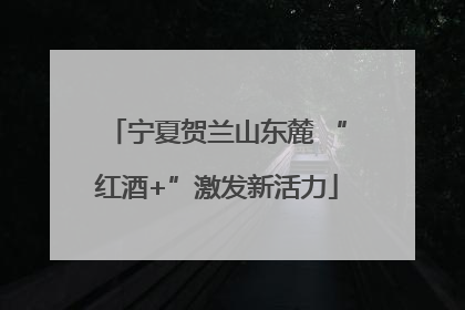 宁夏贺兰山东麓 “红酒+”激发新活力