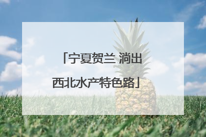 宁夏贺兰 淌出西北水产特色路