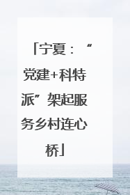 宁夏：“党建+科特派”架起服务乡村连心桥