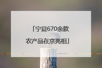 宁夏670余款农产品在京亮相