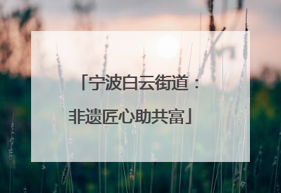 宁波白云街道：非遗匠心助共富