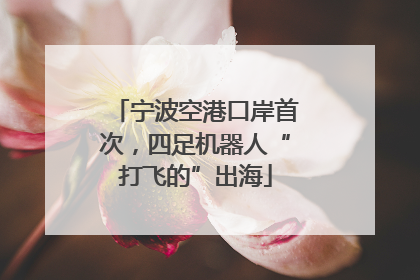 宁波空港口岸首次，四足机器人“打飞的”出海