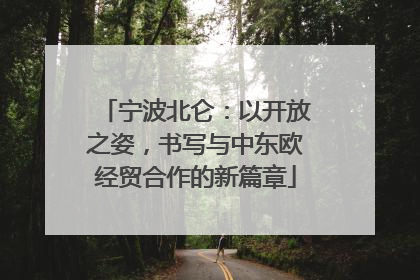 宁波北仑：以开放之姿，书写与中东欧经贸合作的新篇章
