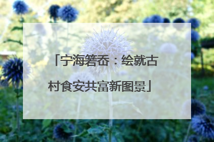 宁海箬岙：绘就古村食安共富新图景
